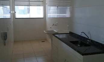 Imagem 4: Lindo Apartamento Padrão