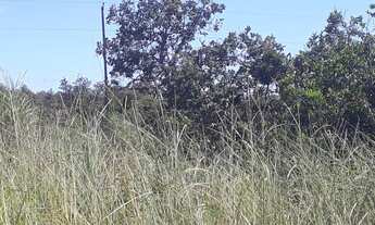 Imagem 3: FAZENDINHAS á 3 km do centro de JEQUITIBÁ, R$18.901,00 mais parcelas
