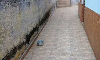 Imagem 2: São Paulo - Casa Padrão - Jardim Peri