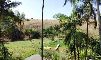 Imagem 5: VENDO CHÁCARA COM PEQUENO RIACHO