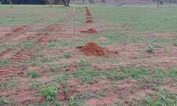 Imagem 2: EXCELENTE FAZ. MUNI.DE ROSARIO OESTE -MT