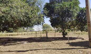 Imagem 7: Maravilhoza Chacara no Muni. de Santo Antonio de Leverger