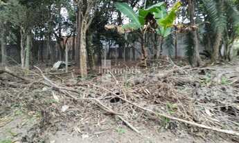 Imagem: FAZENDINHA - PARTE ALTA