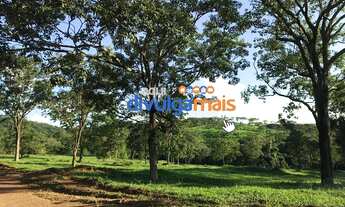 Imagem 13: Fazenda a venda de 68 alqueires para pecuária na região de Caldas Novas GO