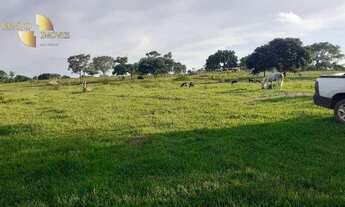 Imagem 5: Fazenda 65km de Cuiabá à venda, 4750000 m² por R$ 3.000.000 - Zona Rural - Nossa Senhora