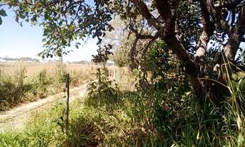 Imagem 5: Terreno 69 Hectares em Martinho Campos