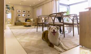 Imagem 3: São Paulo - Apartamento Padrão - Morumbi