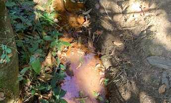 Imagem 4: Chácara 1700m², Tanque +Rego D'água, Escriturada, Setor das Vertentes- Aragoiânia