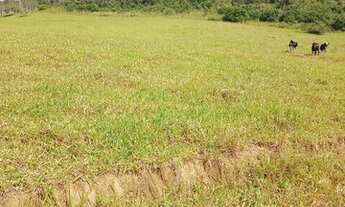 Imagem 7: Fazenda antiga bicentenária