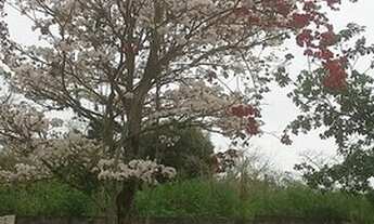 Imagem 4: TERRENO PARA VENDER EM CAÇAPAVA