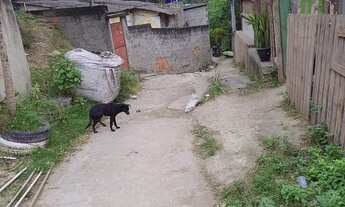 Imagem 2: Vendo terreno em Realengo