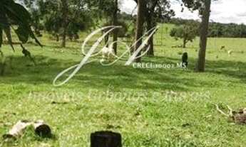 Imagem 5: Ótima Chácara 15,6 em Terenos