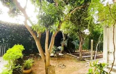 Imagem 2: SÃO PAULO - Apartamento Padrão - SAÚDE