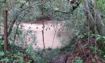 Imagem 6: Chácara em Guapó