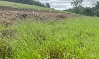 Imagem 5: Lotes a venda Terreno / lote com venda por R$50.000