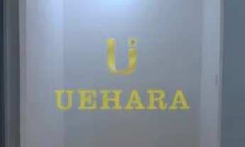 Imagem 7: CASA RESIDENCIAL em SÃO PAULO - SP, PARQUE PERUCHE