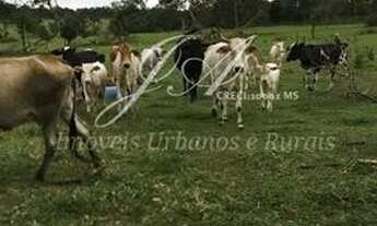 Imagem 7: Ótima Chácara 15,6 em Terenos