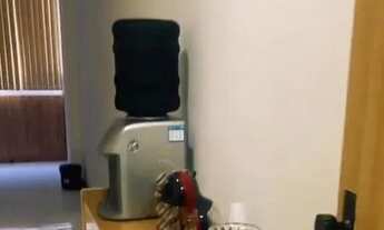 Imagem 2: Sala comercial para alugar, espaço compartilhado