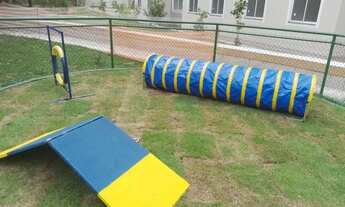 Imagem 5: Aluguel de apartamento