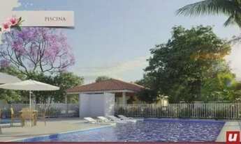 Imagem 4: Cerejeiras aluguel 3 qts 12 andar apartamento nascente