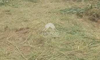 Imagem 5: Terreno Área em Hortolândia