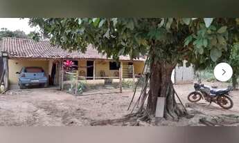 Imagem 7: Vendo fazenda - 12 alqueires e 30 Litros