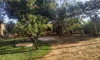 Imagem 4: Chácara na Rajadinha, lote de 1300 metros, 170.000