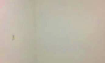 Imagem 6: Ideal samambaia no 5 andar escada não peço caução bloco 22