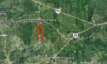 Imagem: Fazenda à venda, 169 hectares por R$ 2.000.000