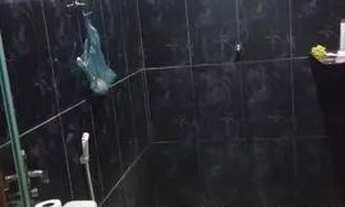 Imagem 5: Casa Casa com 2 dormitórios