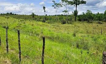 Imagem 5: Vendo sítio em Nazaré das farinha