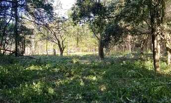 Imagem 2: Sítio Com Entrada De 4.900 E Parcelas De 650. ROB:787