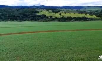 Imagem 4: R$95 Milhões Fazenda de 333 alqueires em Itauçu-Go