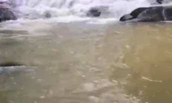 Imagem 5: 5 alqueires no município de Anicuns-GO