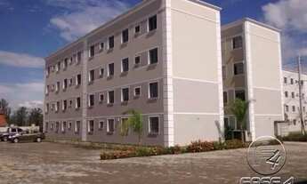 Imagem 3: ED. REC. DAS BORBOLETAS