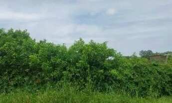 Imagem 2: Oportunidade Única em RIO GRANDE - RS | Tipo: Terreno | Negociação: Venda Online