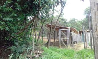 Imagem 3: Excelente sítio, 10 hectares, com casa principal e casa de hóspedes