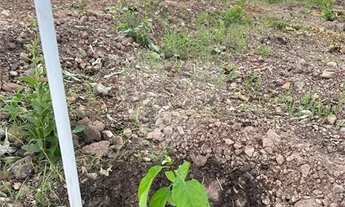 Imagem 6: Terreno à venda em Centro - MT