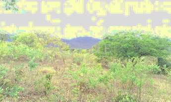 Imagem 4: Área comercial localizado a poucos metros da Praça