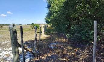 Imagem 4: Área de Terras c/ 193.600M² (4 Alqueires)- Porto do Açu- São João da Barra-RJ- Valor: R$3