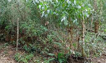 Imagem 5: Terreno em Mairiporã