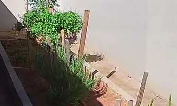 Imagem 6: Imóvel a venda em Guapiaçu com duas casas em terreno de 1.000 metros murada rua asfaltada