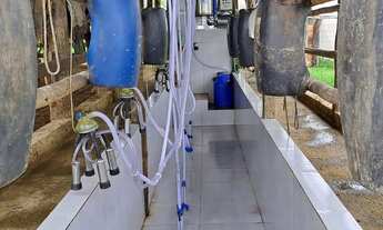 Imagem 7: Ótima fazenda de 302 hectares, dupla aptidão, terras de cultura margeada por ribeirão - Ri