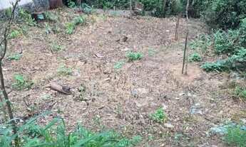 Imagem 2: TERRENO PRÓXIMO AO PARQUE GLOBAL PARA UMA OU MAIS CASAS