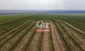 Imagem 2: Fazenda em Mineiros-GO. Área Total: (379 Alqueires) 1.835 Há