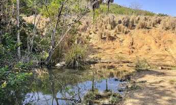 Imagem 3: Fazenda 20 alqueires