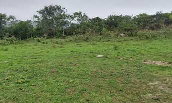 Imagem 6: Lindo terreno 22 hectares