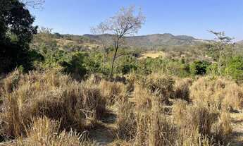 Imagem 5: Fazenda 20 alqueires