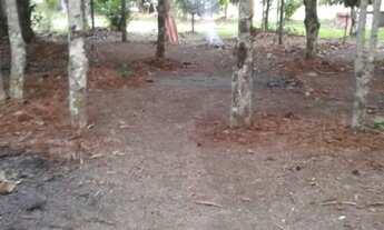 Imagem: VENDO Terreno