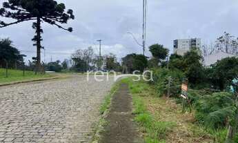 Imagem 4: Terreno para venda, Desvio Rizzo, Caxias Do Sul
